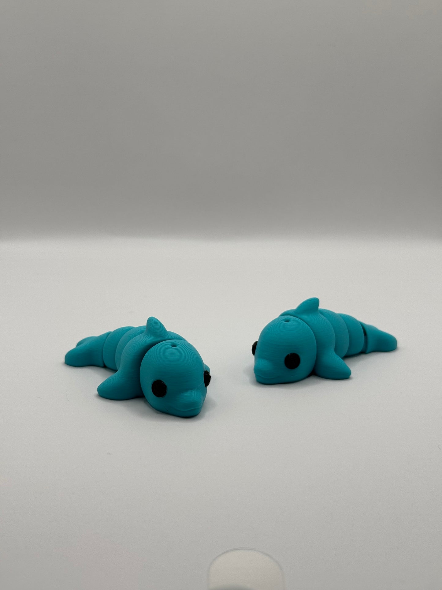 Baby Dolphin