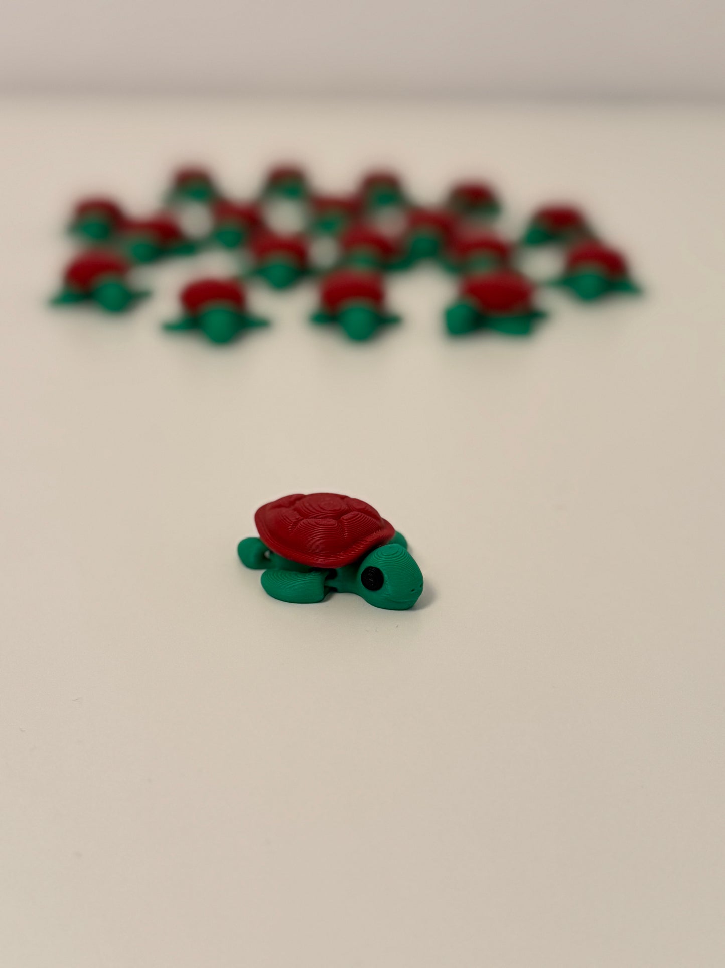 Baby Turtle