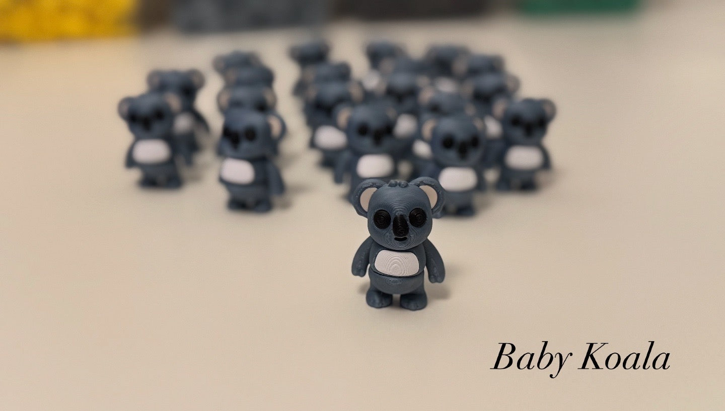 Baby Koala