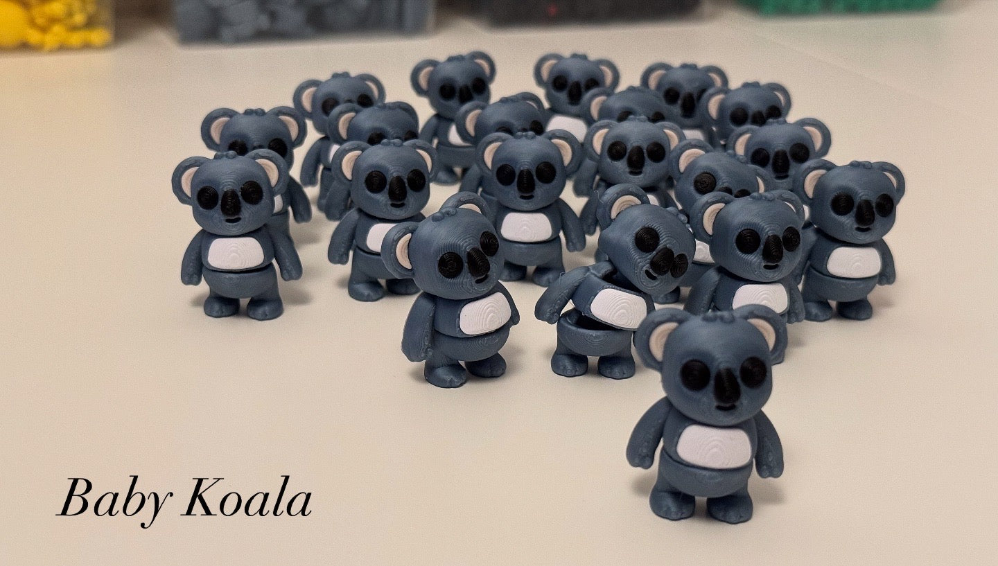 Baby Koala