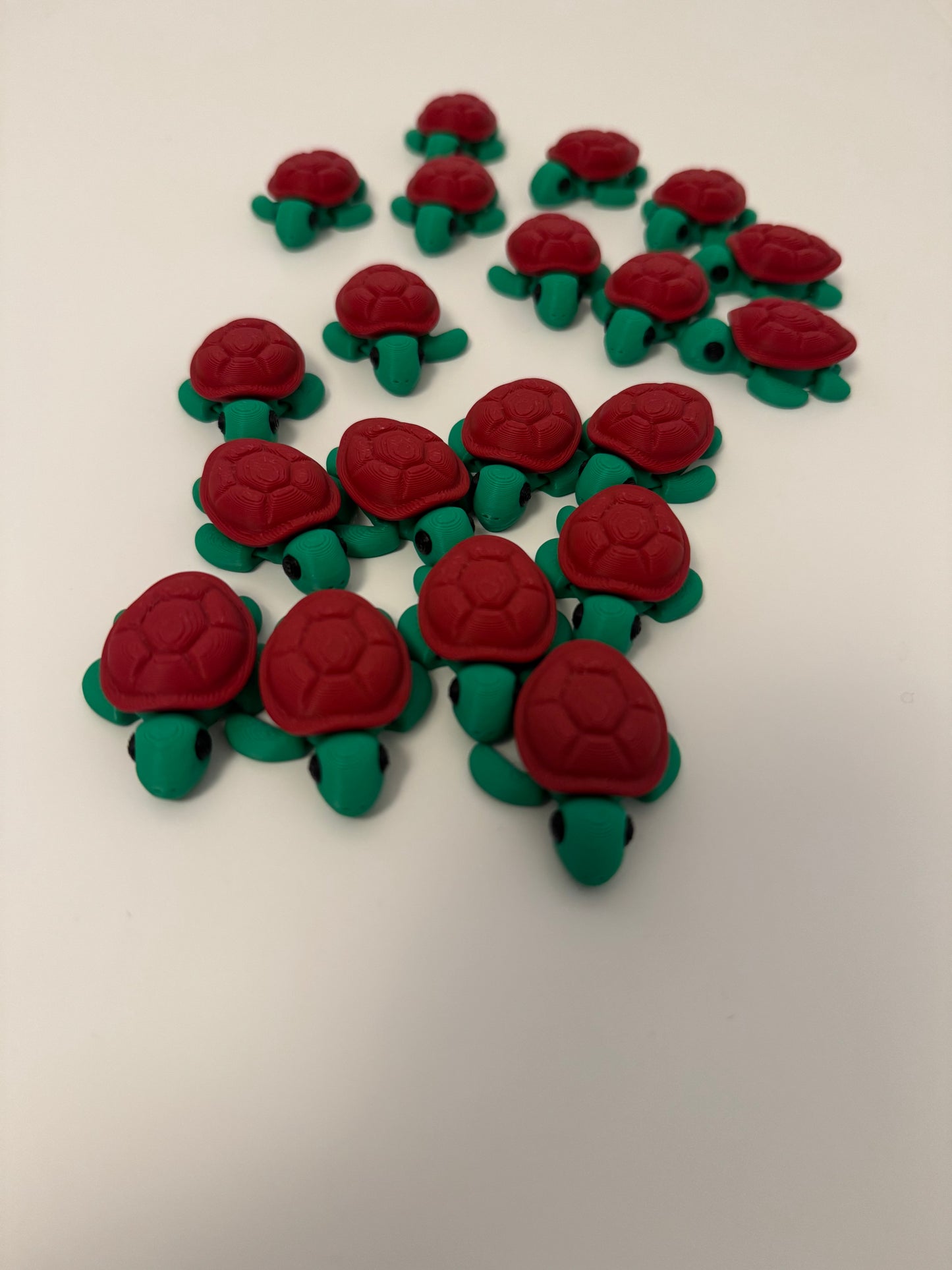 Baby Turtle