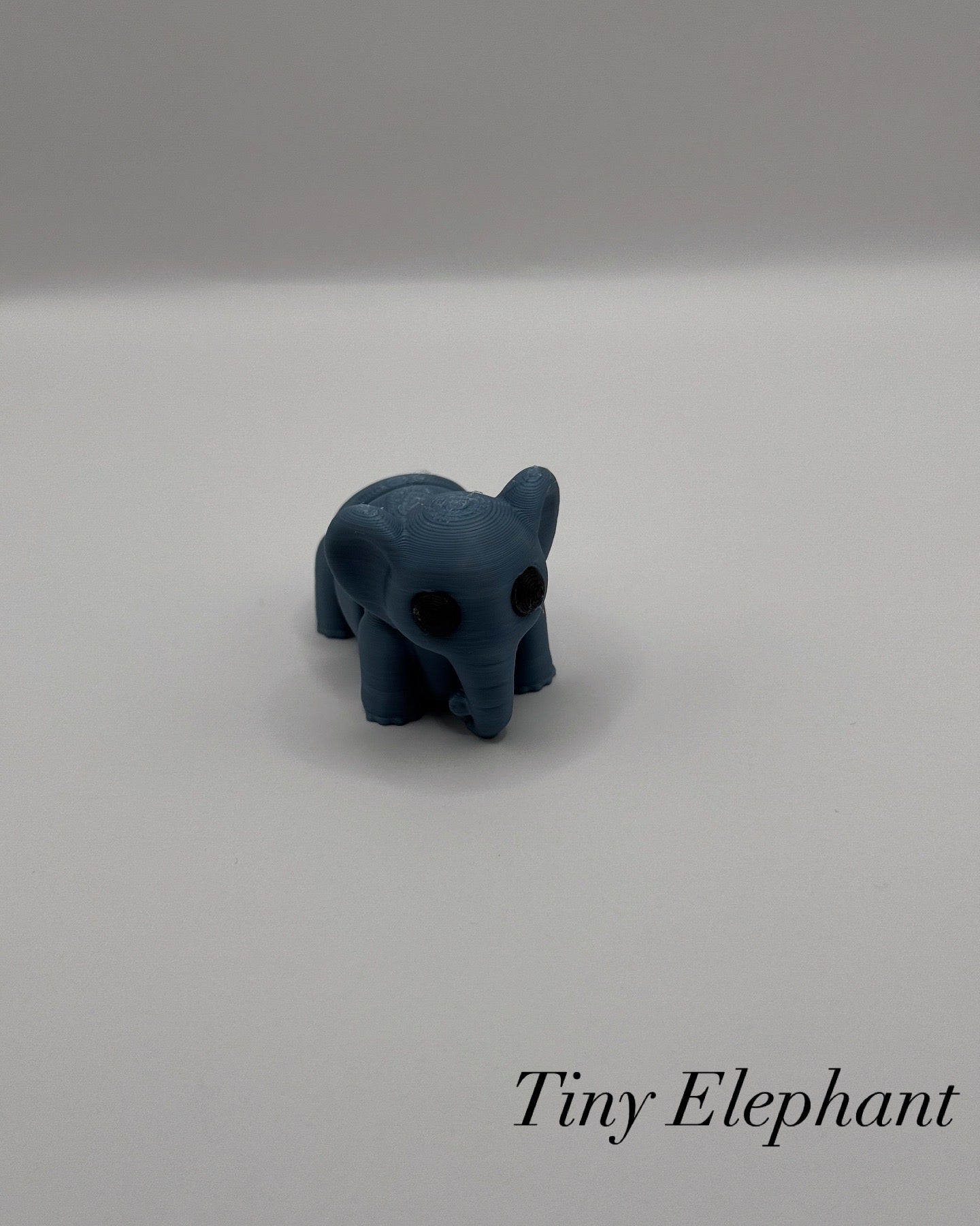 Baby Elephant