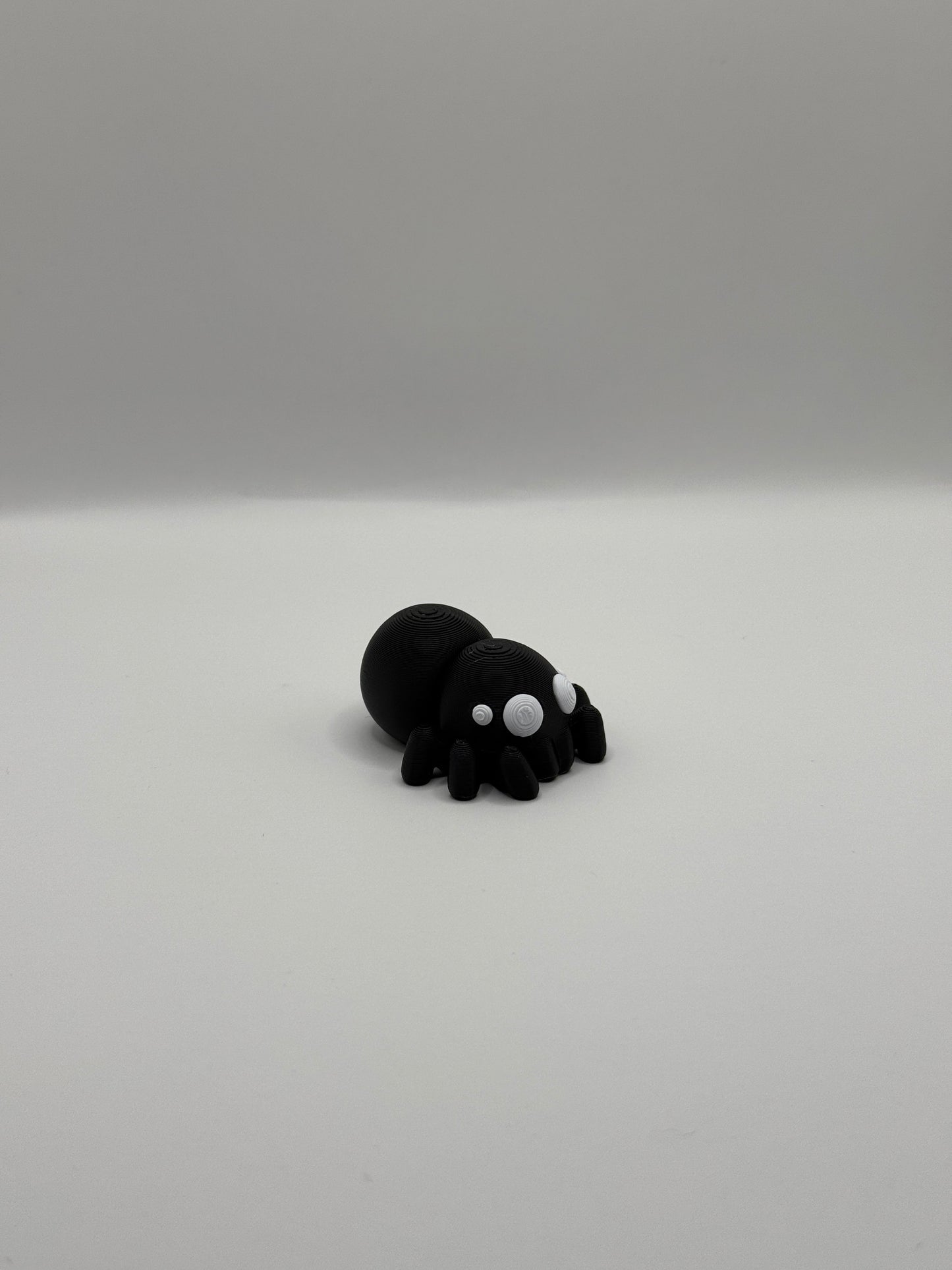 Baby Spider