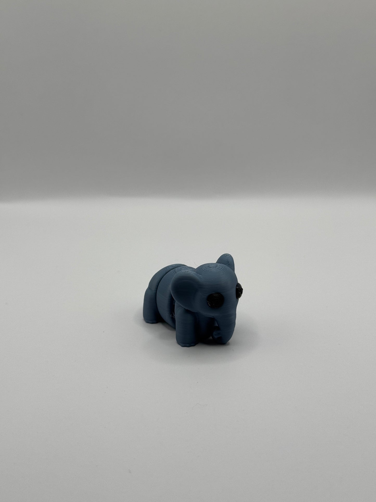 Baby Elephant