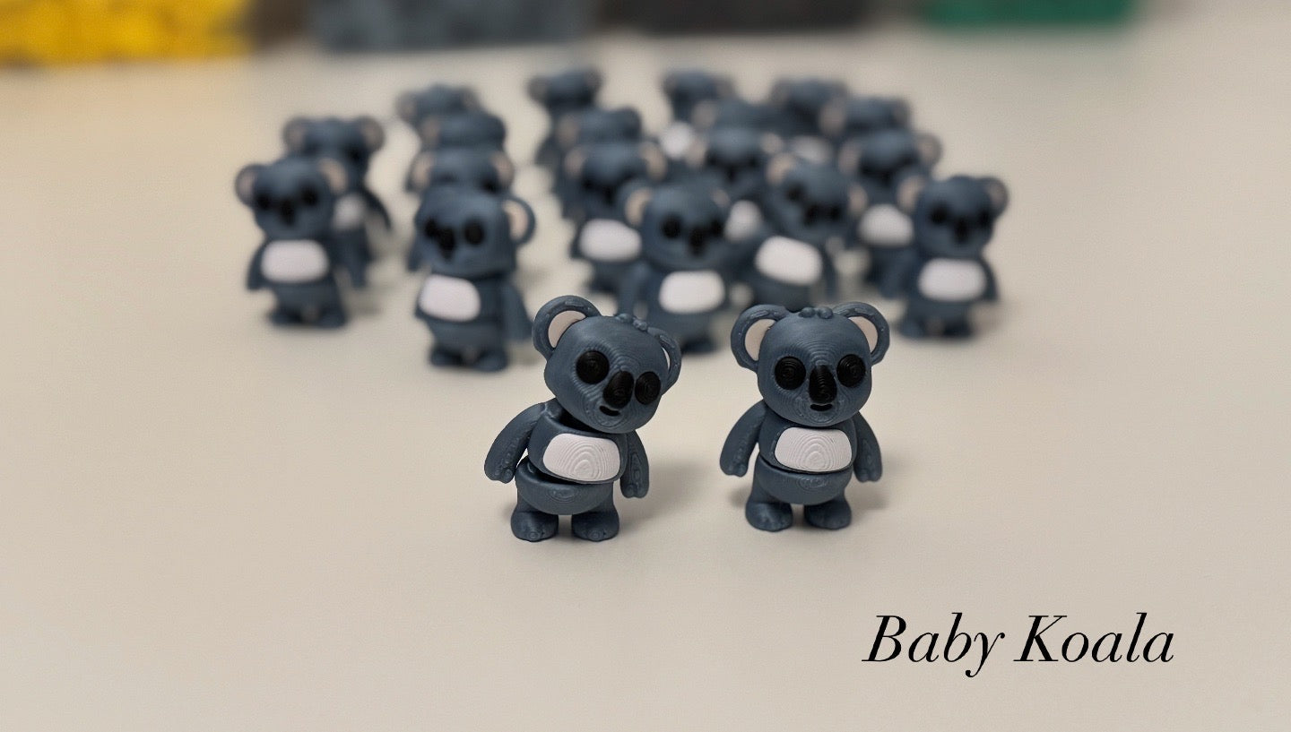 Baby Koala
