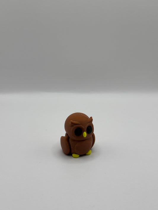 Baby Owl