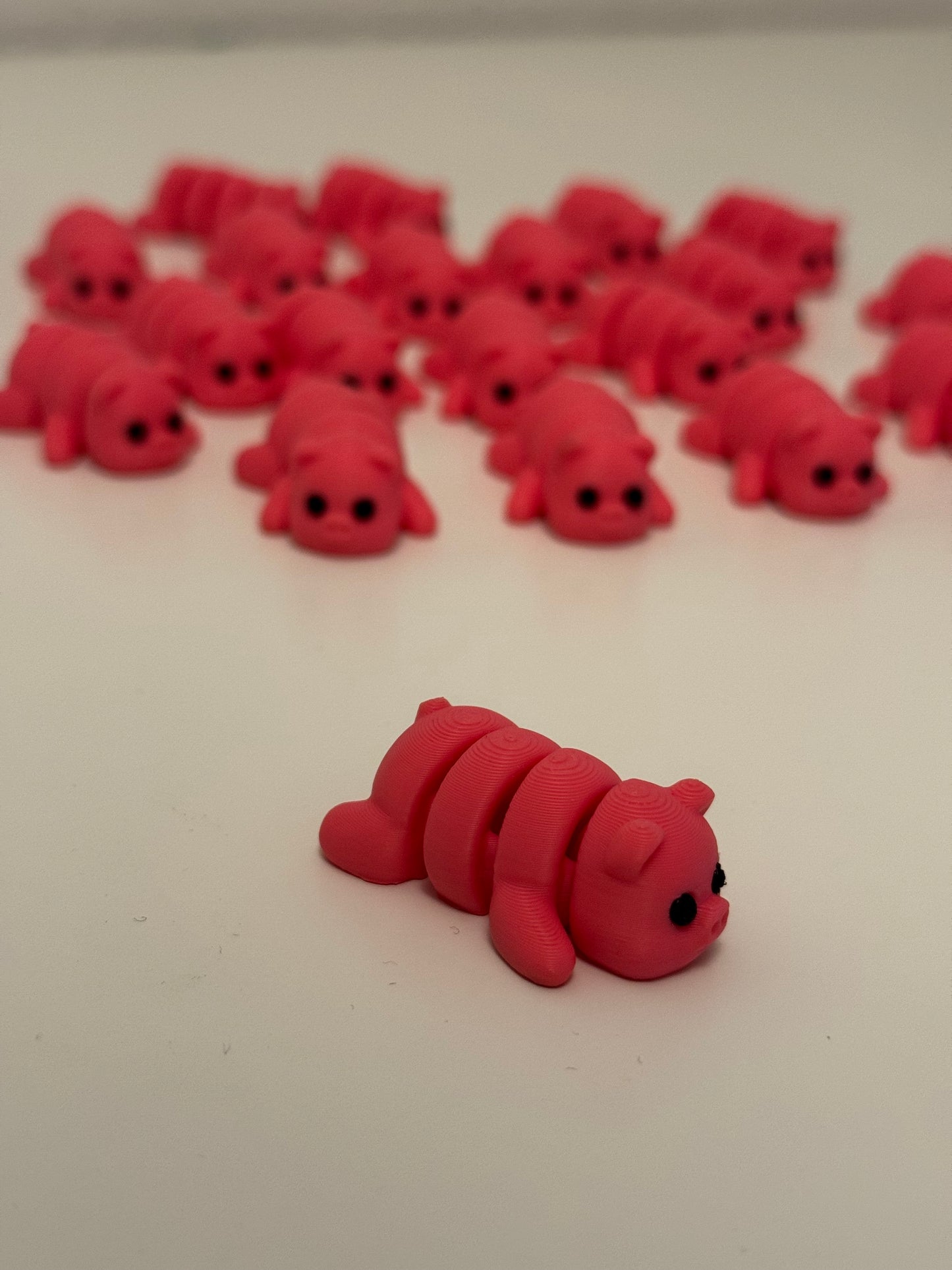 Baby Pig