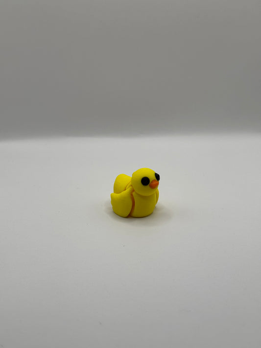 Baby Duck