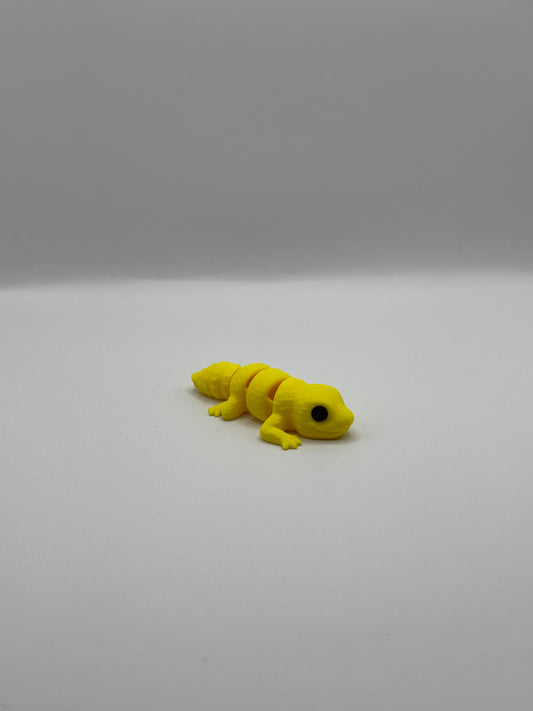 Baby Gecko