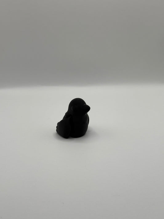 Baby Crow