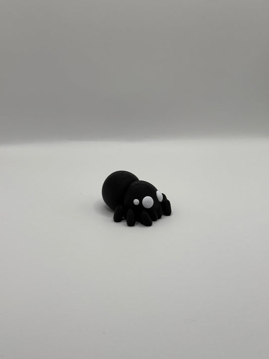 Baby Spider