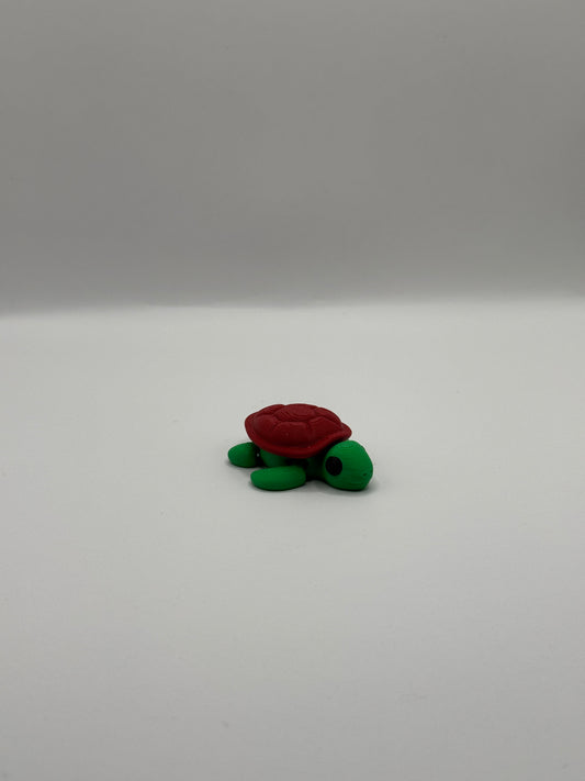 Baby Turtle