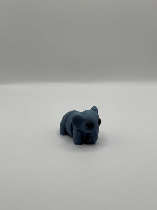 Baby Elephant